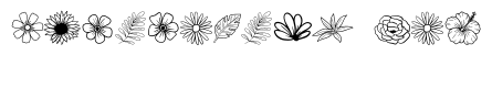 Wildflower Doodles