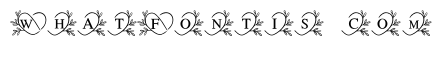 Wedding Infinity Heart