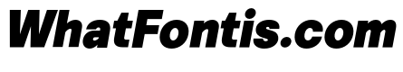 Vontica Sans Black Italic