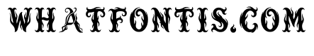 Turf Regular