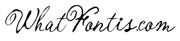 Enchanted Vintage Regular