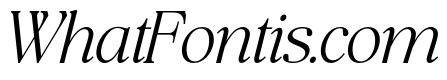 The Bilstein Editorial Italic