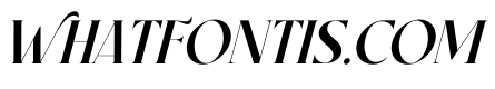 Stanza Italic