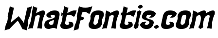 SQUADRON Italic
