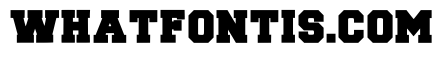 Sport Station Regular