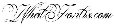 Song Camysa Italic