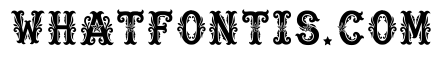 Sesia Regular