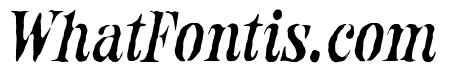 SeratoneVintageSerif-Italic