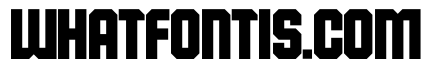 Seniors Regular