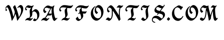 Saxon Regular