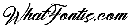 Satin Willots Italic