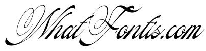 Pitholica Delicate Italic