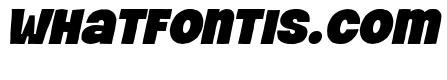Pastry Bites Italic