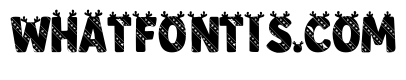 New Born Christmas 3