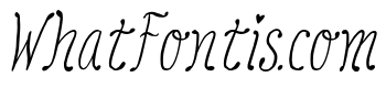 Magloria Italic