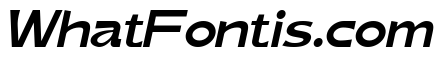 Maggle Italic