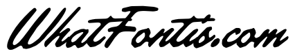 Madyline Script