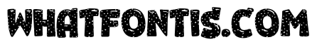 Leopard Font 4