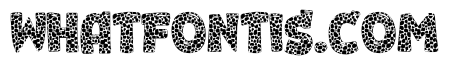 Leopard Font 3