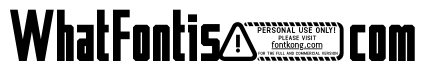 Battlechips