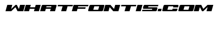 Buckin' Bronc Spaced ExpanItal
