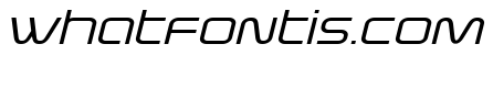 Fox on the Go Expanded Italic