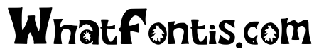 Hobbyist