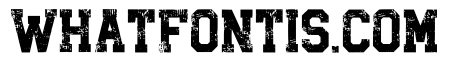 Grunged Distress Regular