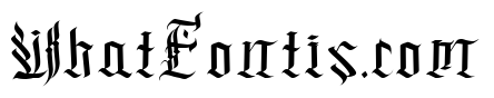 Dark Wizards