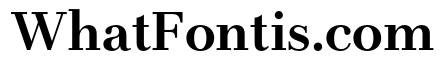 LT Afficher Neue Bold Caption