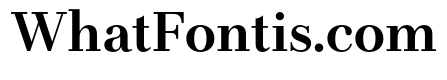 LT Afficher Neue Bold Text