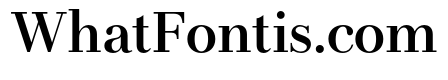 LT Afficher Neue Semi Bold Text