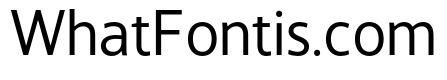 LT Hoop Regular