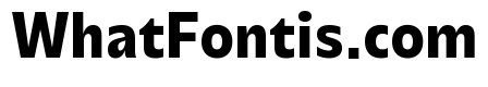 Performa Narrow Bold