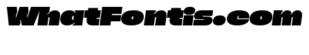 Primary Font PERSONAL USE Italic
