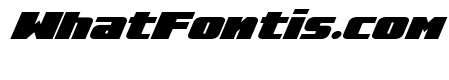 Rapid Response LC Super-Italic