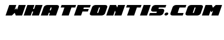 Rapid Response Title Italic