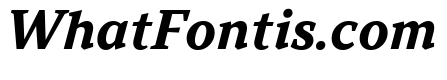 TT Norms Pro Serif Trl Bd It
