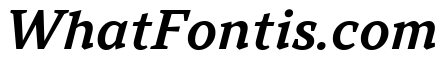 TT Norms Pro Serif Trl Db It