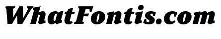 TT Norms Pro Serif Trl ExtraBlc It