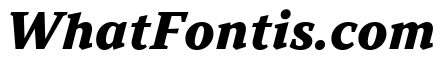TT Norms Pro Serif Trl XBd It