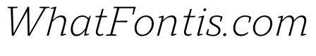 TT Norms Pro Serif Trl Lt It