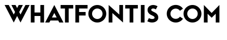 Cd Rom Regular
