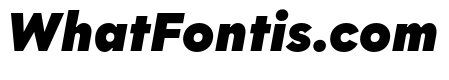 Polymath Text Super Italic