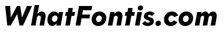 Polymath Text Black Italic