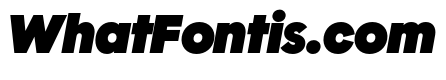 Polymath Display Super Italic