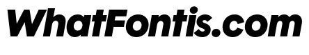 Polymath Display Black Italic