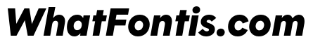 Polymath Black Italic