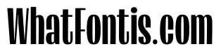 Lini Bold