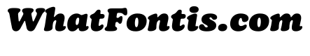 Jovie Black Italic